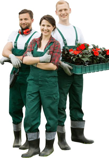 jardinage-toulouse-saint lys-elagage-jardin-gazon-gazon synthetique-tondeuse
