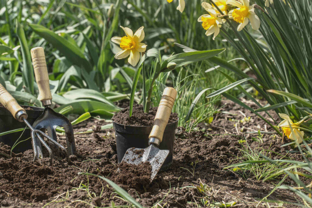 jardinage-toulouse-saint lys-elagage-jardin-gazon-gazon synthetique-tondeuse