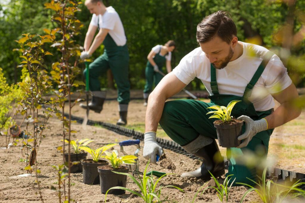 jardinage-toulouse-saint lys-elagage-jardin-gazon-gazon synthetique-tondeuse