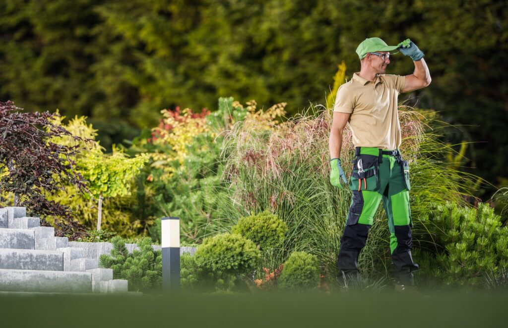 jardinier-toulouse-entretien-jardin-création-espace-vert-paysagiste-taille-haie-tonte-pelouse-débroussaillage-jardinage-professionnel-aménagement-jardin-élagage-arbres-drservices31-jardinier-31-jardinier-haute-garonne-mise-en-beauté-jardin-services-espaces-verts-plantation-fleurissement-jardin-sur-mesure-jardinier-proximité-service-express