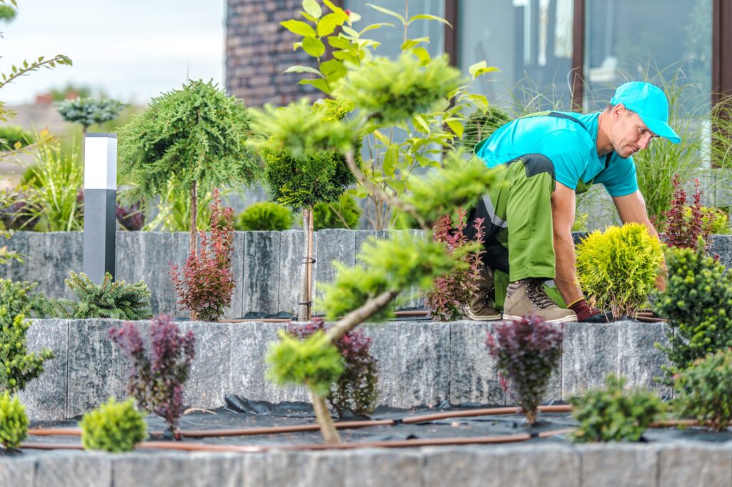 jardinier-toulouse-entretien-jardin-création-espace-vert-paysagiste-taille-haie-tonte-pelouse-débroussaillage-jardinage-professionnel-aménagement-jardin-élagage-arbres-drservices31-jardinier-31-jardinier-haute-garonne-mise-en-beauté-jardin-services-espaces-verts-plantation-fleurissement-jardin-sur-mesure-jardinier-proximité-service-express