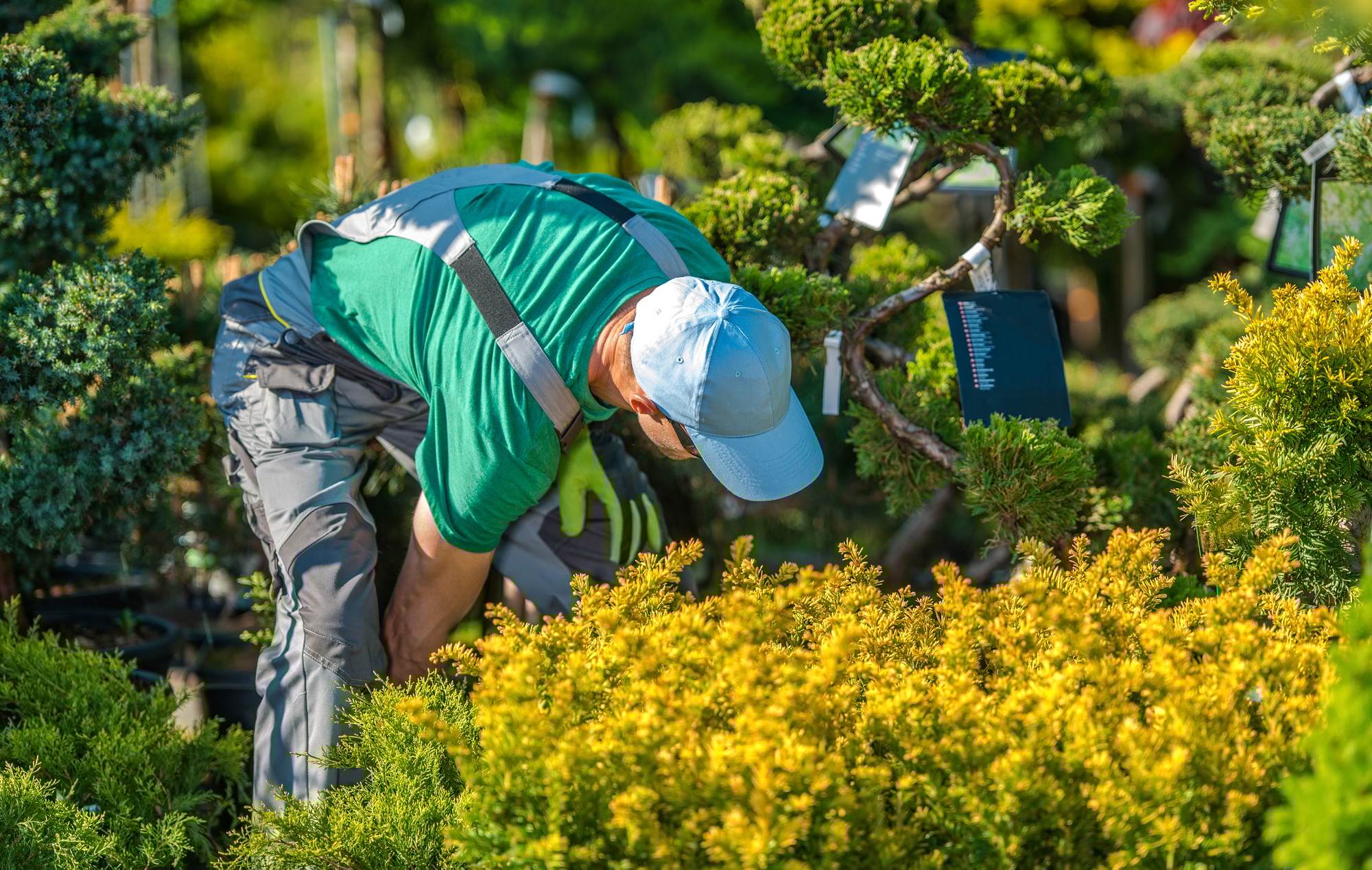 Jardinier professionnel préparant un jardin pour l'hiver