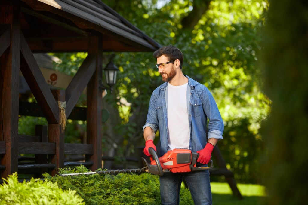jardinier-toulouse-entretien-jardin-création-espace-vert-paysagiste-taille-haie-tonte-pelouse-débroussaillage-jardinage-professionnel-aménagement-jardin-élagage-arbres-drservices31-jardinier-31-jardinier-haute-garonne-mise-en-beauté-jardin-services-espaces-verts-plantation-fleurissement-jardin-sur-mesure-jardinier-proximité-service-express