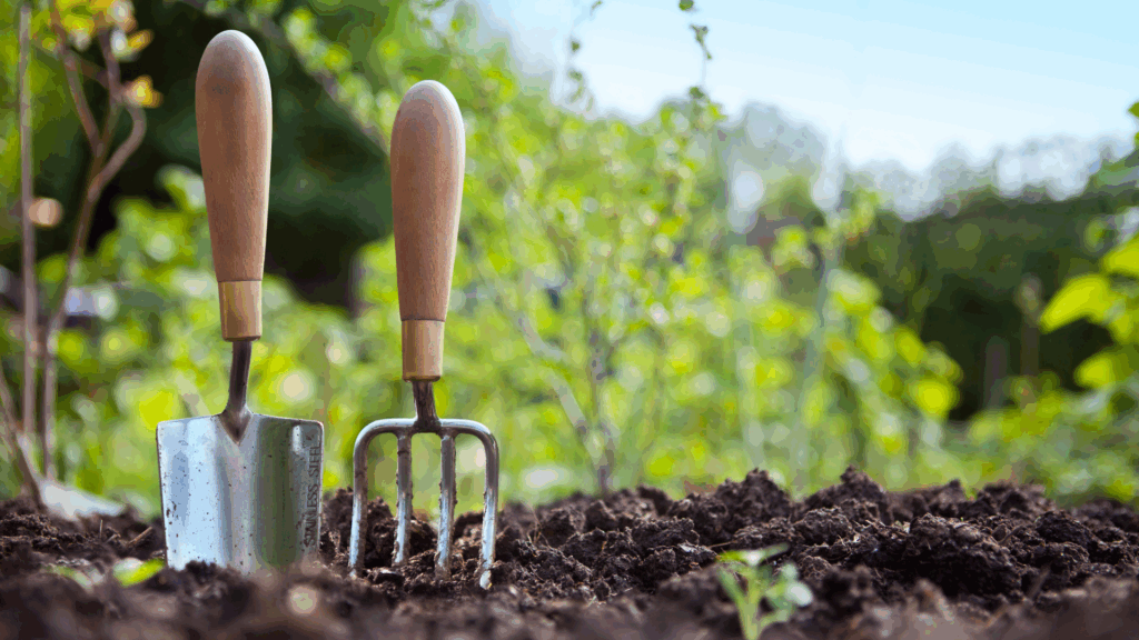 🌱 Comment bien préparer son jardin pour chaque saison ?
