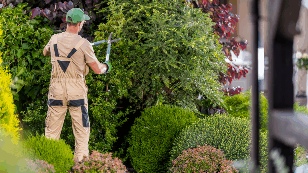 🍂Créer un jardin écoresponsable et durable