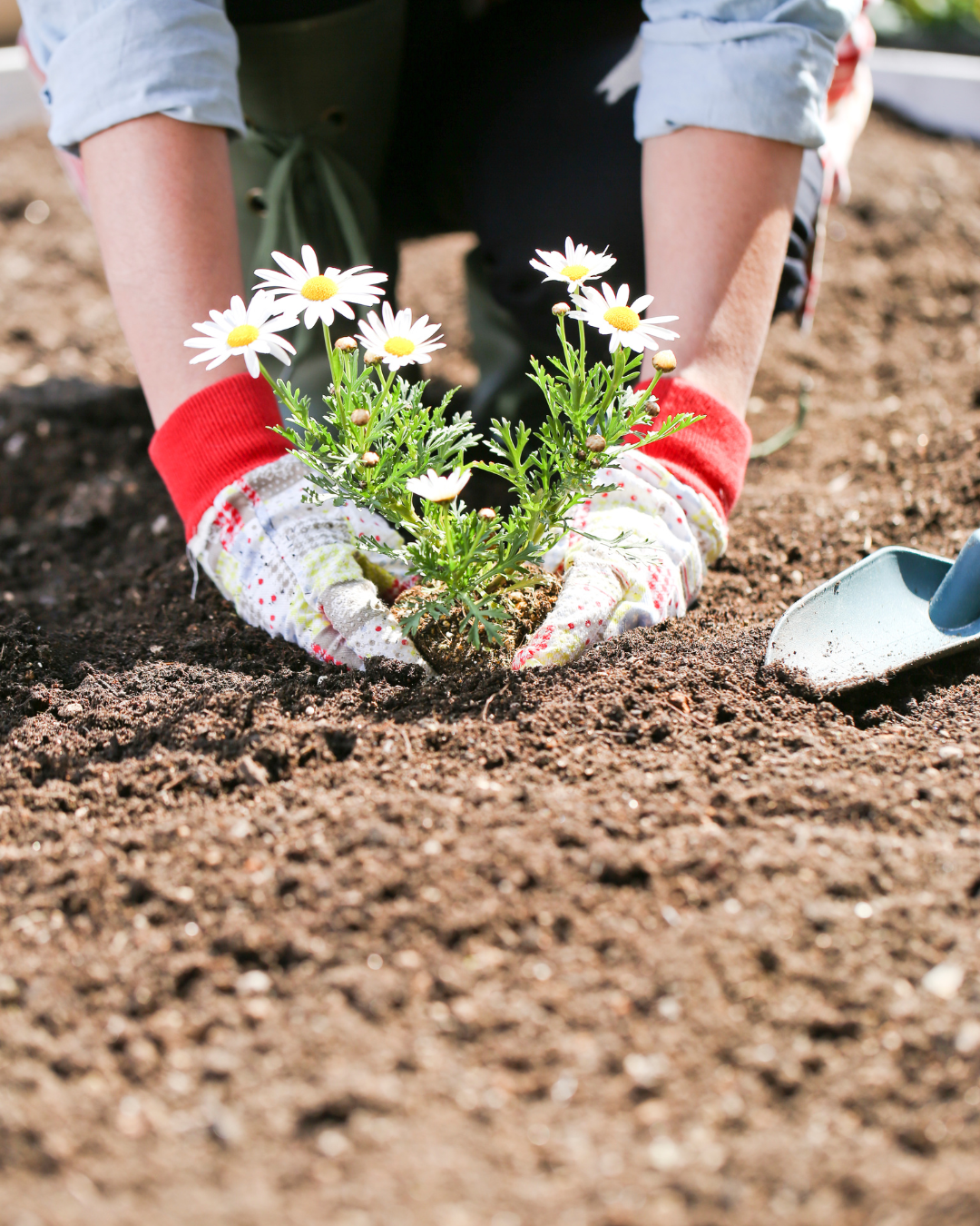 Matériel professionnel jardinage paysagisme
