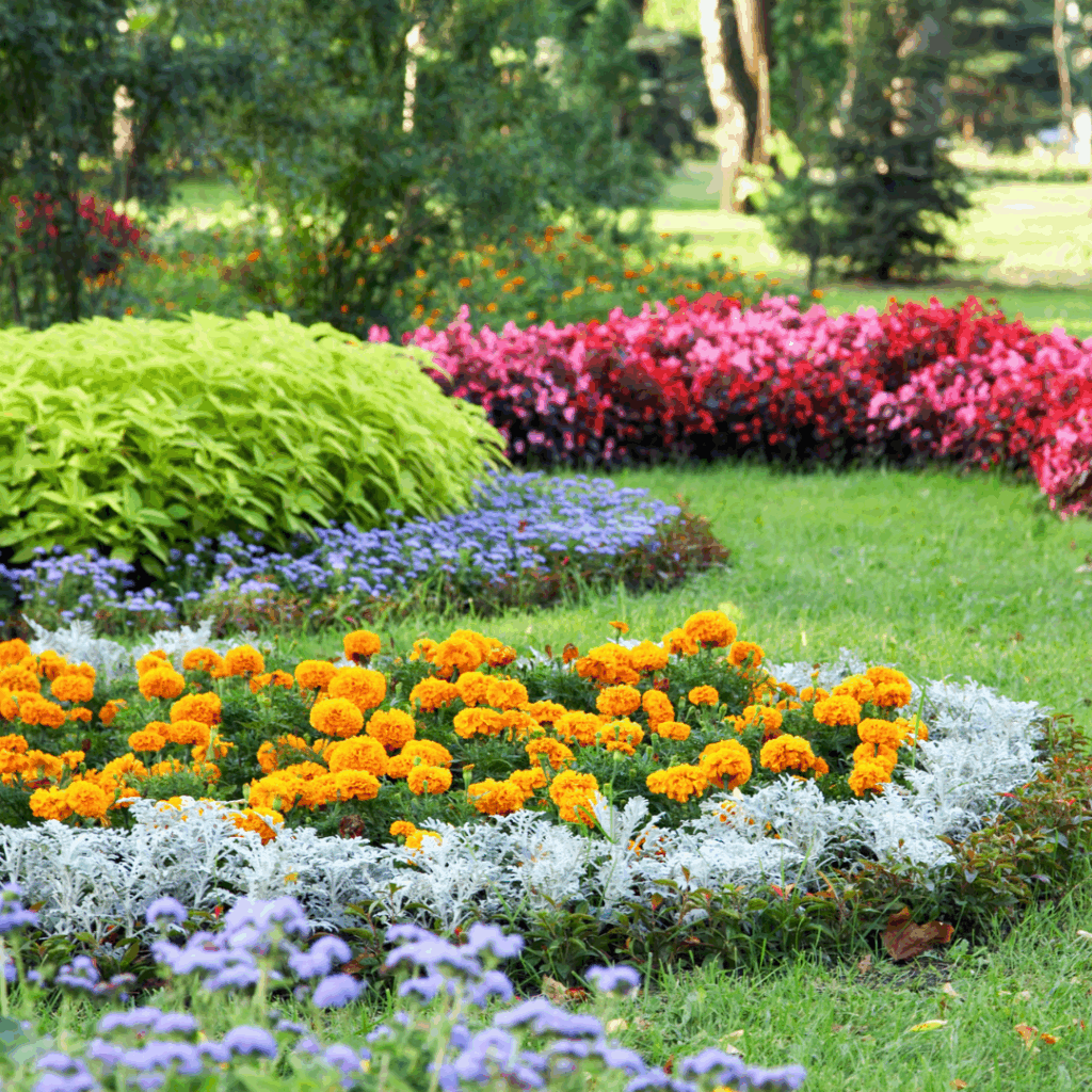 Comment avoir un jardin impeccable sans effort ?