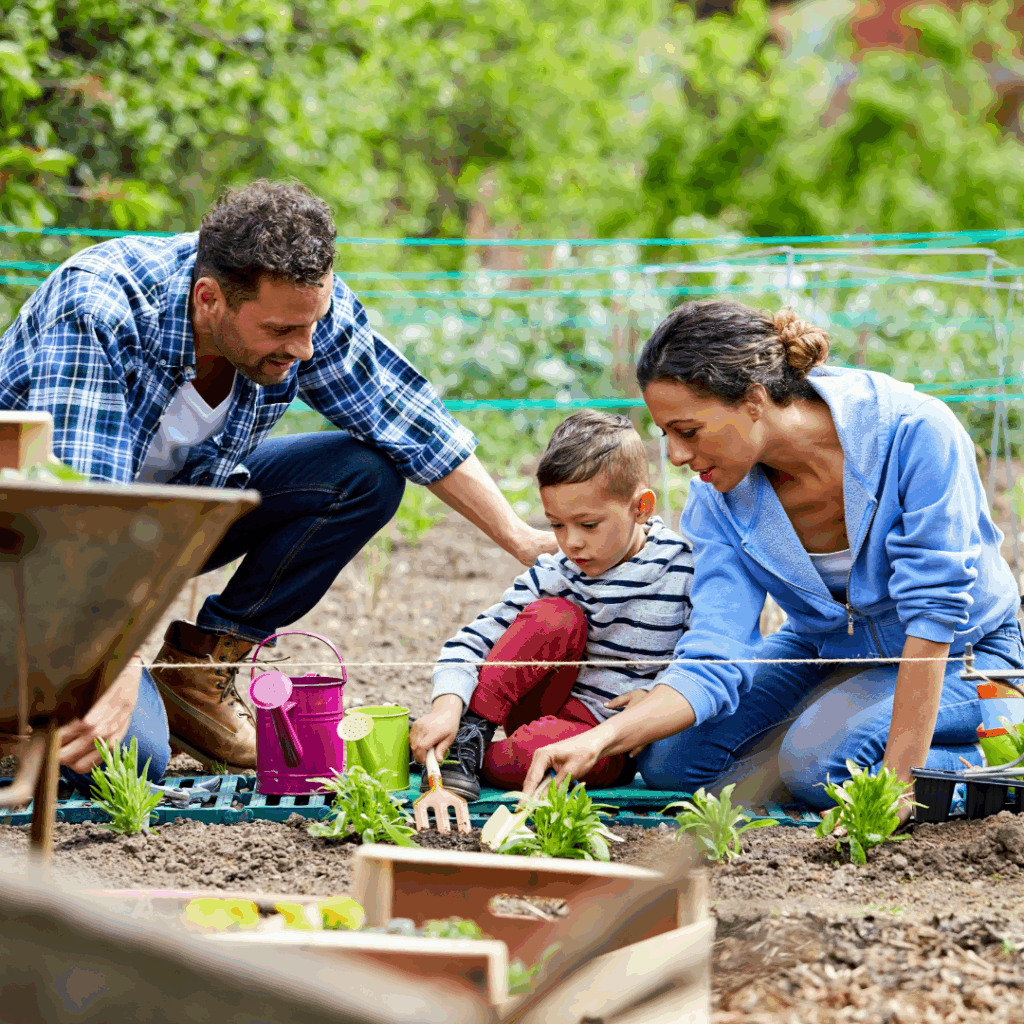 🌱 Calendrier des semis et plantations au fil des saisons