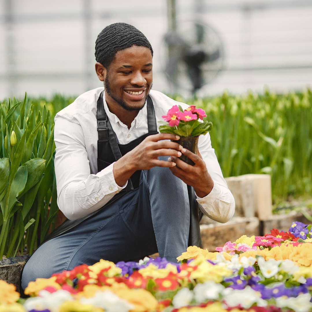 Illustration exposition jardin