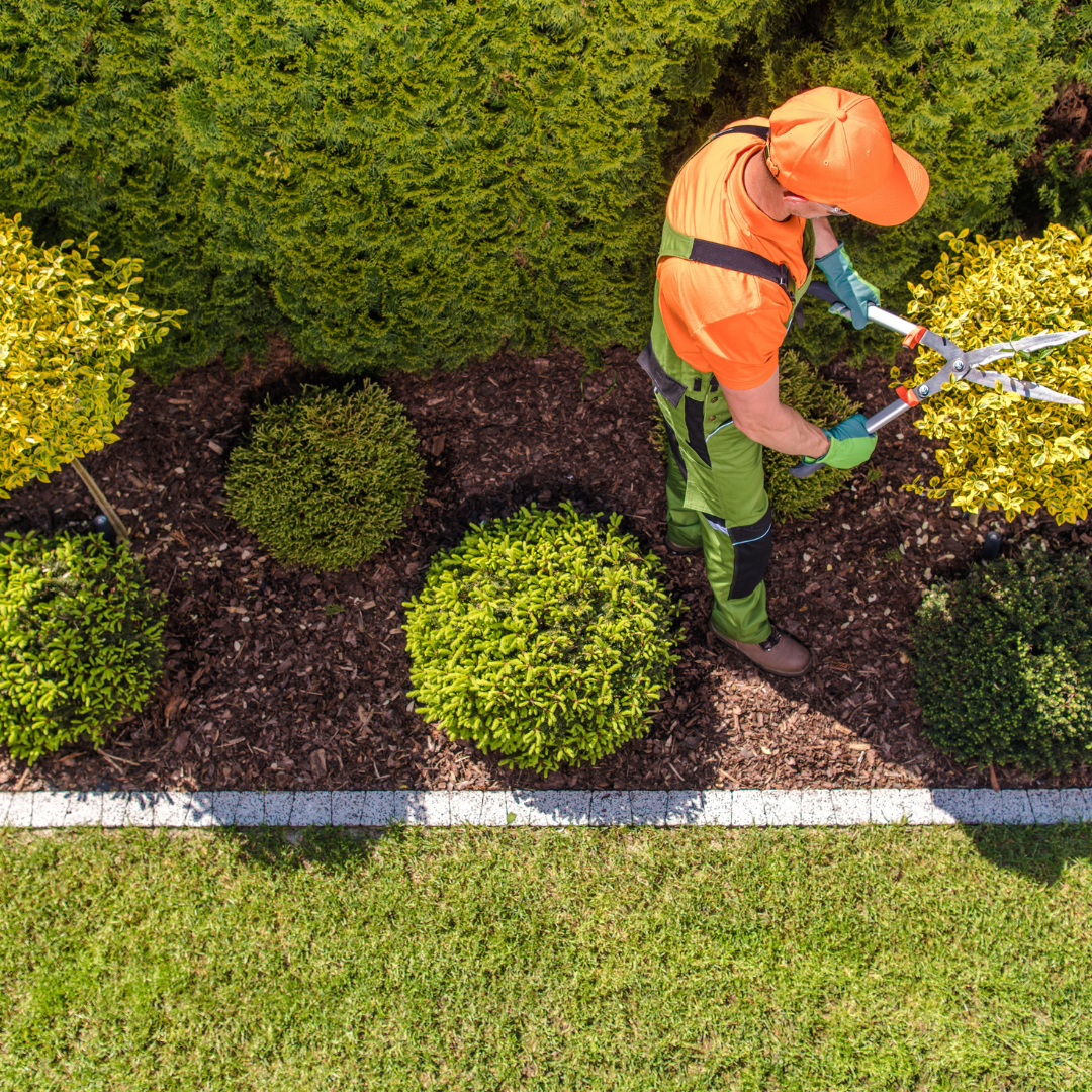 Aménagement paysager DR Services 31