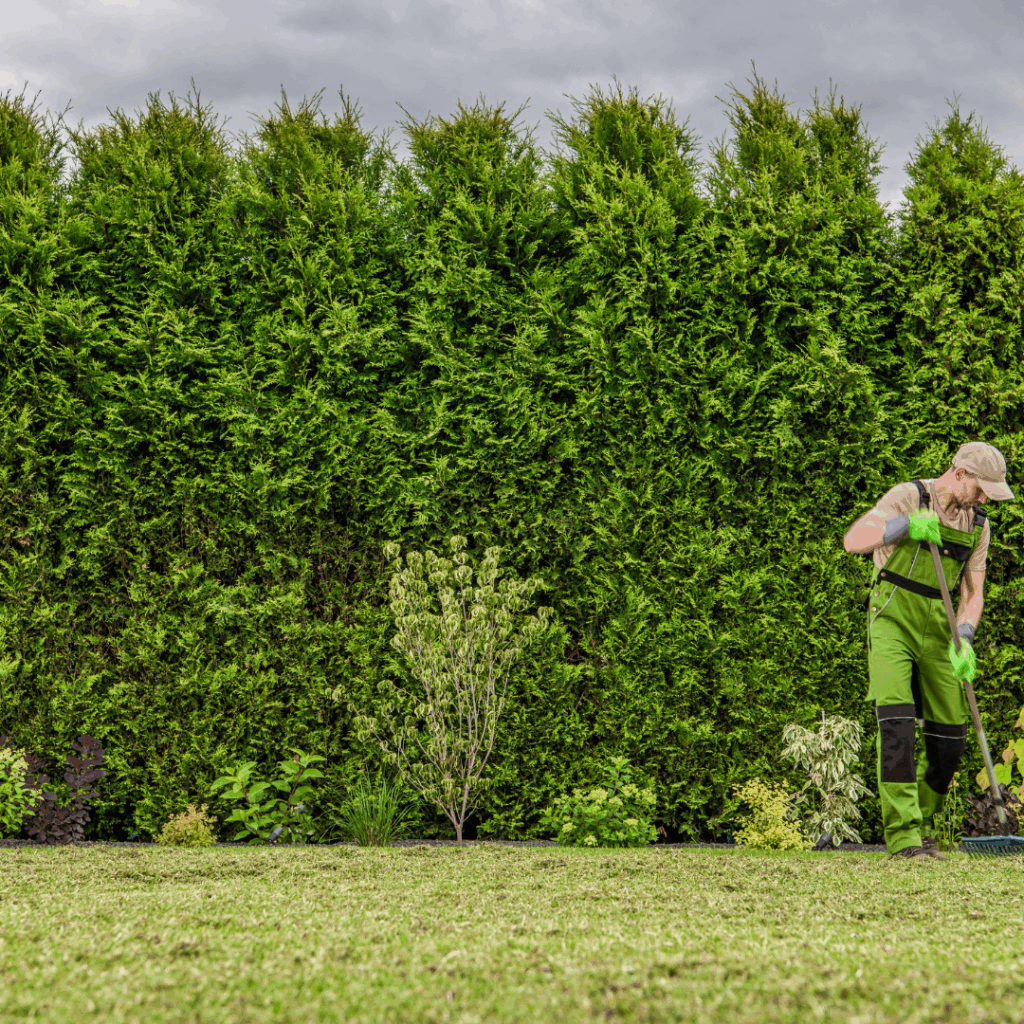 🌳 Les matériaux écologiques pour vos aménagements extérieurs : terrasses, bordures, bassins et allées.