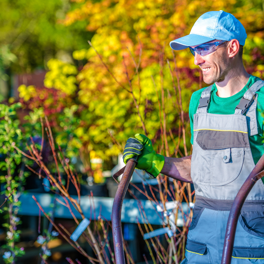 Aménagement jardin moderne à Toulouse par paysagiste professionnel