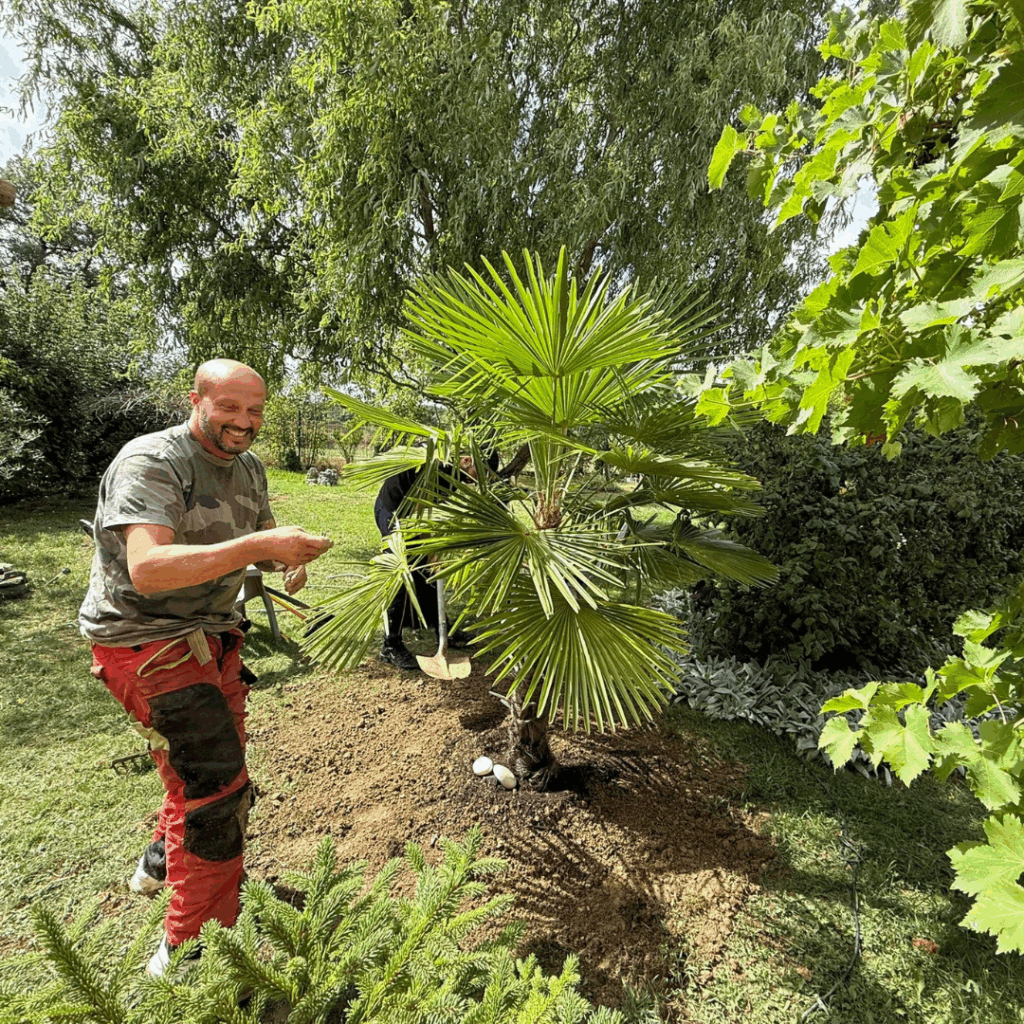 Combien coûte un jardinier en Haute-Garonne (31) ?