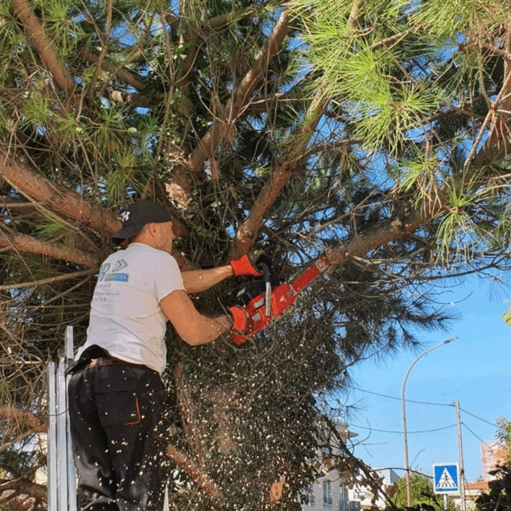 🛠️ Comment réussir sa préparation des sols avant l’hiver? Conseils de pro pour un jardin en pleine santé