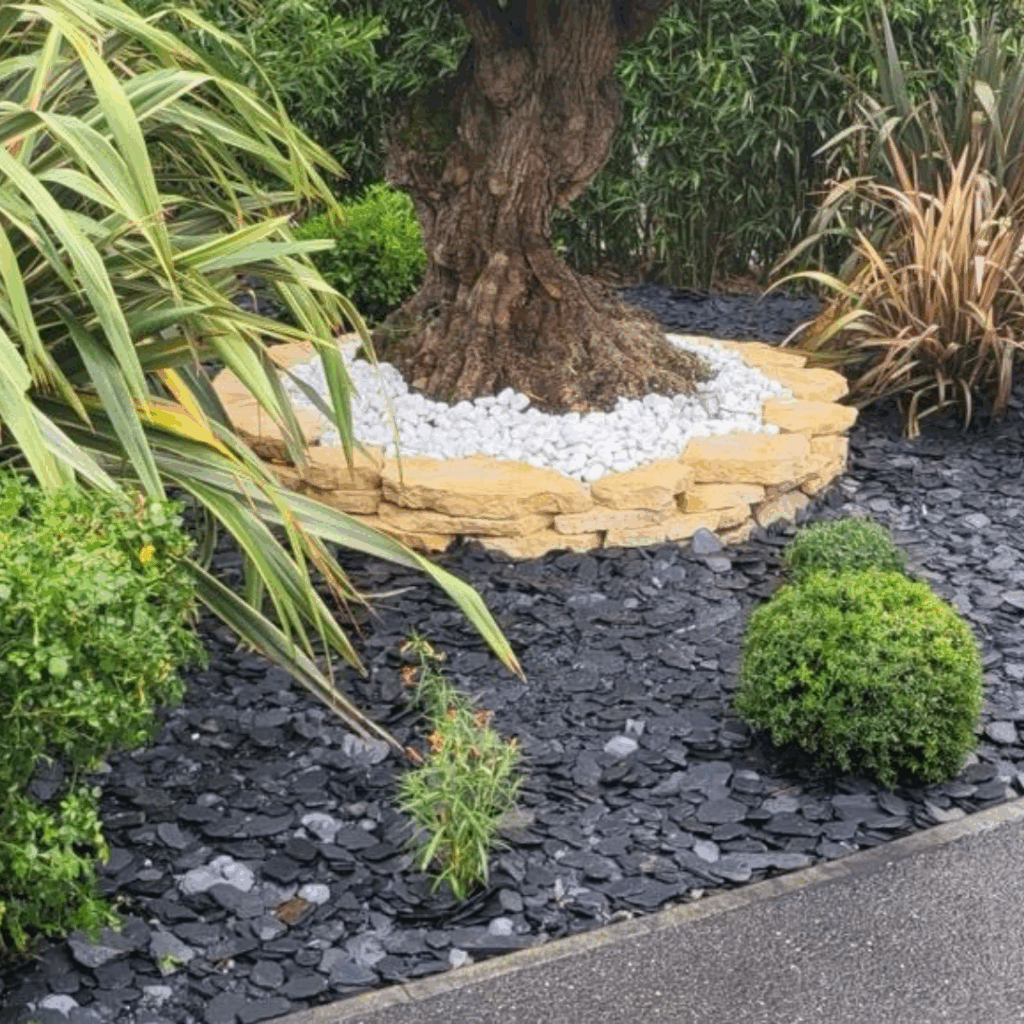 🏡 Top 10 des plantes locales et résistantes pour les jardins en Haute-Garonne.