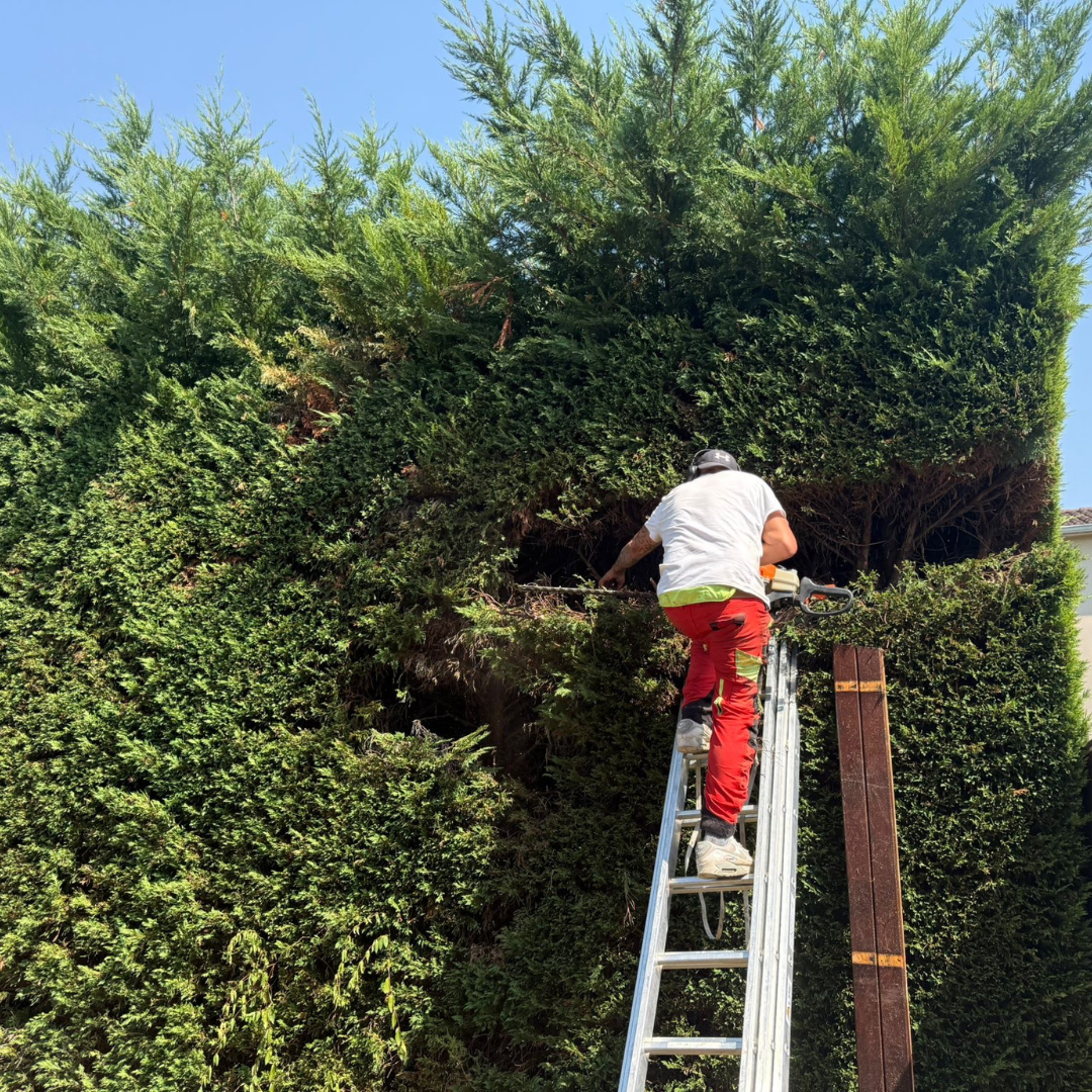 Massif paillé professionnel