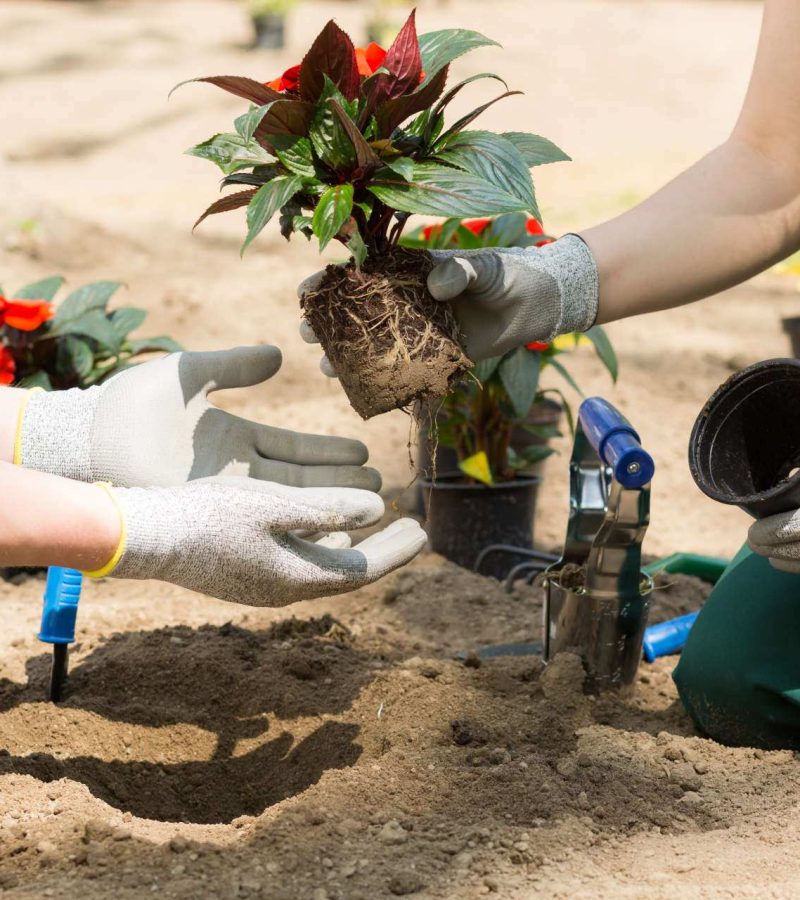 jardinage-toulouse-saint lys-elagage-jardin-gazon-gazon synthetique-tondeuse